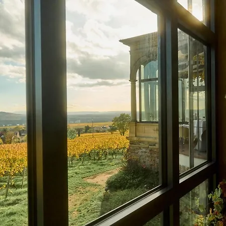 Relais&châteaux Burg Schwarzenstein 5* Geisenheim