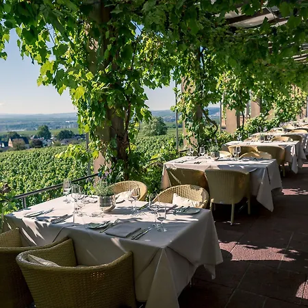 Relais&châteaux Burg Schwarzenstein Hotel Geisenheim