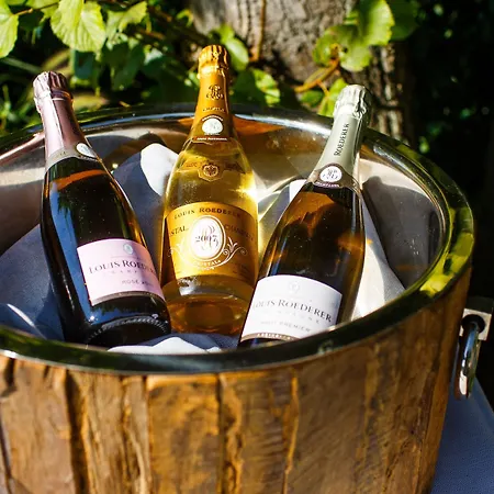 Relais&châteaux Burg Schwarzenstein 5* Geisenheim