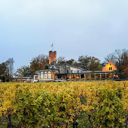 Otel Relais & Chateaux Burg Schwarzenstein
