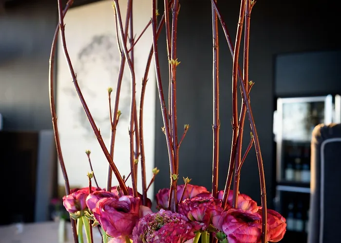 伯格茨瓦尔曾斯坦瑞雷斯城堡酒店 酒店 5*