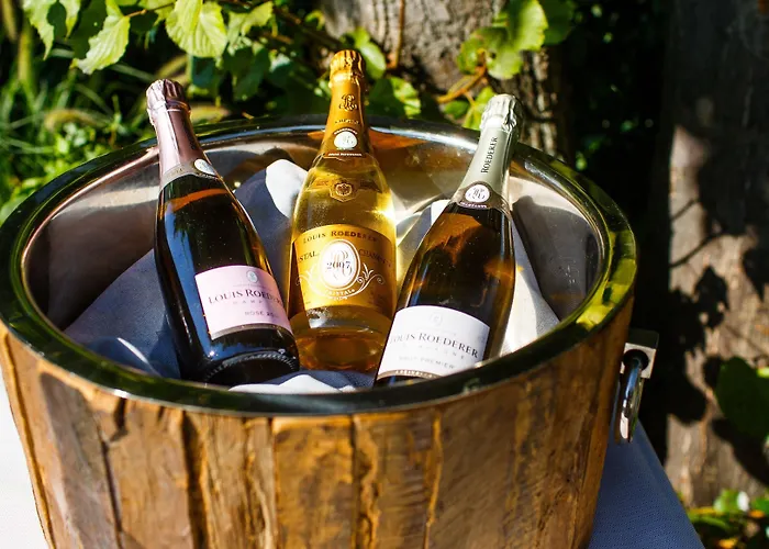 伯格茨瓦尔曾斯坦瑞雷斯城堡酒店 5* 盖森海姆