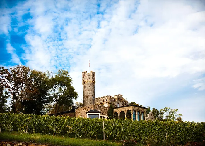 Relais & Chateaux Burg Schwarzenstein 5*