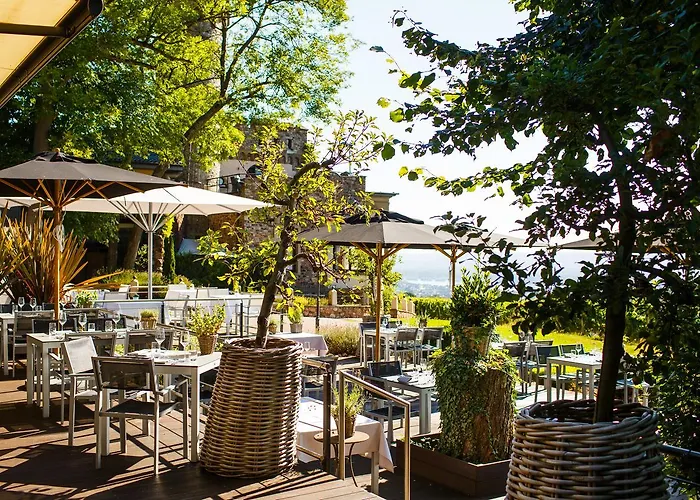 Relais & Chateaux Burg Schwarzenstein Hotel 5*