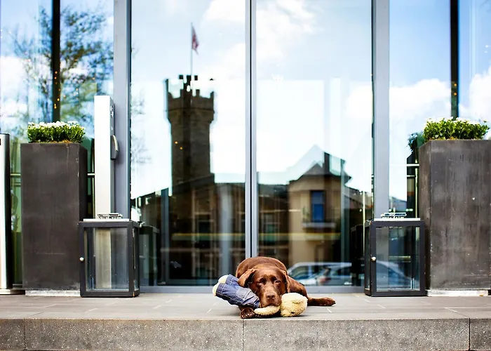 伯格茨瓦尔曾斯坦瑞雷斯城堡酒店 5* 盖森海姆