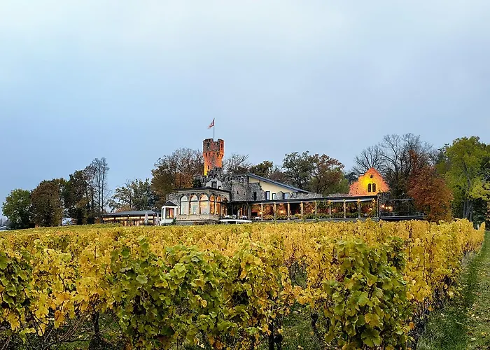 Hotel Relais & Chateaux Burg Schwarzenstein